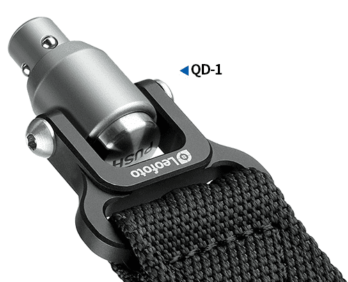 qd 1